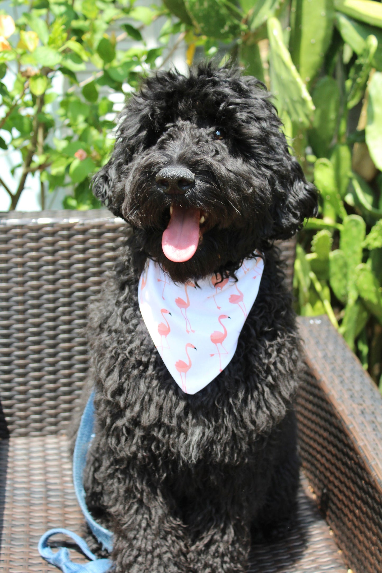 Over the Collar Dog Bandana -Flamingo-Dog Mom Gift-Personalized Dog Bandana-Customized Dog Bandana-Dog Gift-Flamingo Print Dog Bandana