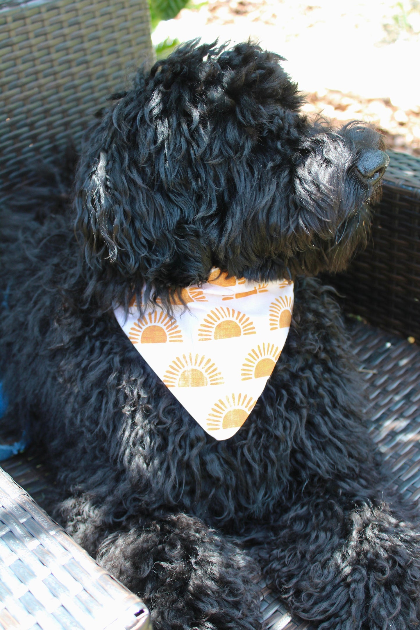 Over the Collar Dog Bandana - Sunny Dog - Dog Mom Gift - Personalized Dog Bandana - Customized Dog Bandana - Dog Gift -Sun Print Dog Bandana