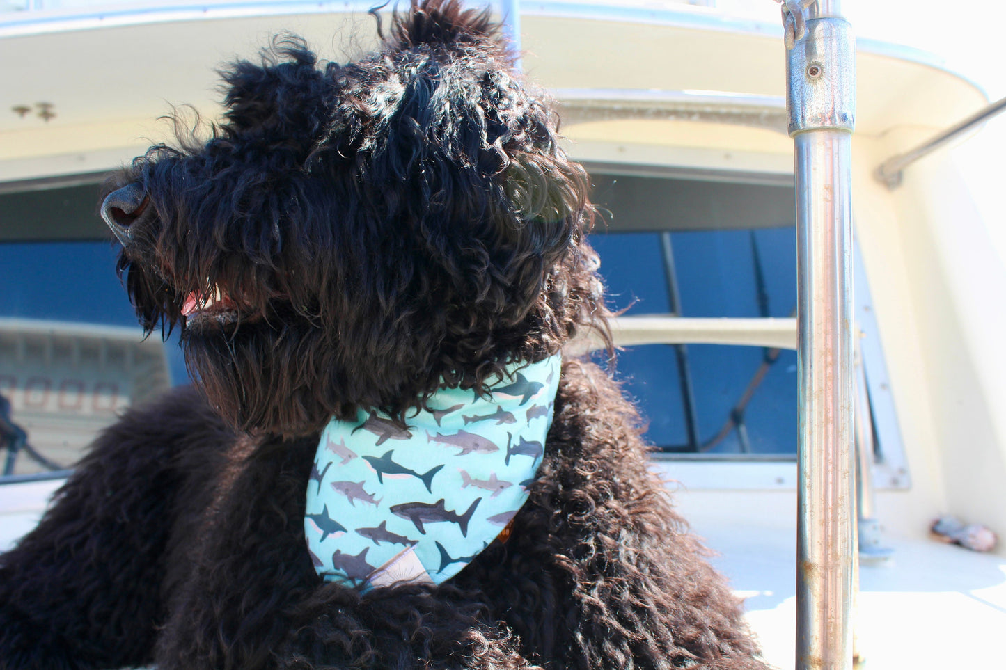 Over the Collar Dog Bandana-Shark Bandana-Dog Mom Gift-Personalized Dog Bandana-Customized Dog Bandana-Dog Gift-Shark Print Dog Bandana
