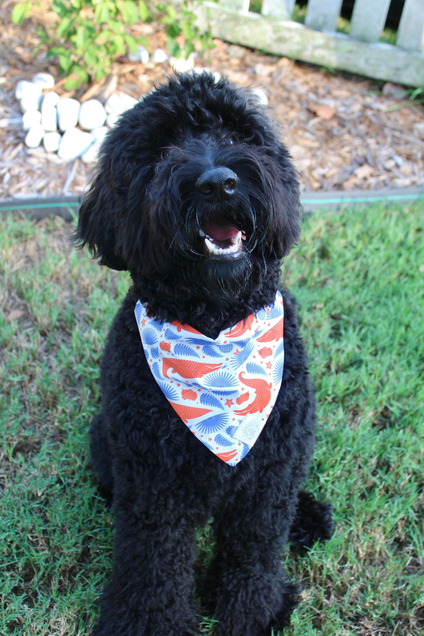 Over the Collar Dog Bandana-Florida Gators-Personalized Dog Bandana-Customized Dog Bandana-Dog Gift-College Dog Bandana-Football Bandana