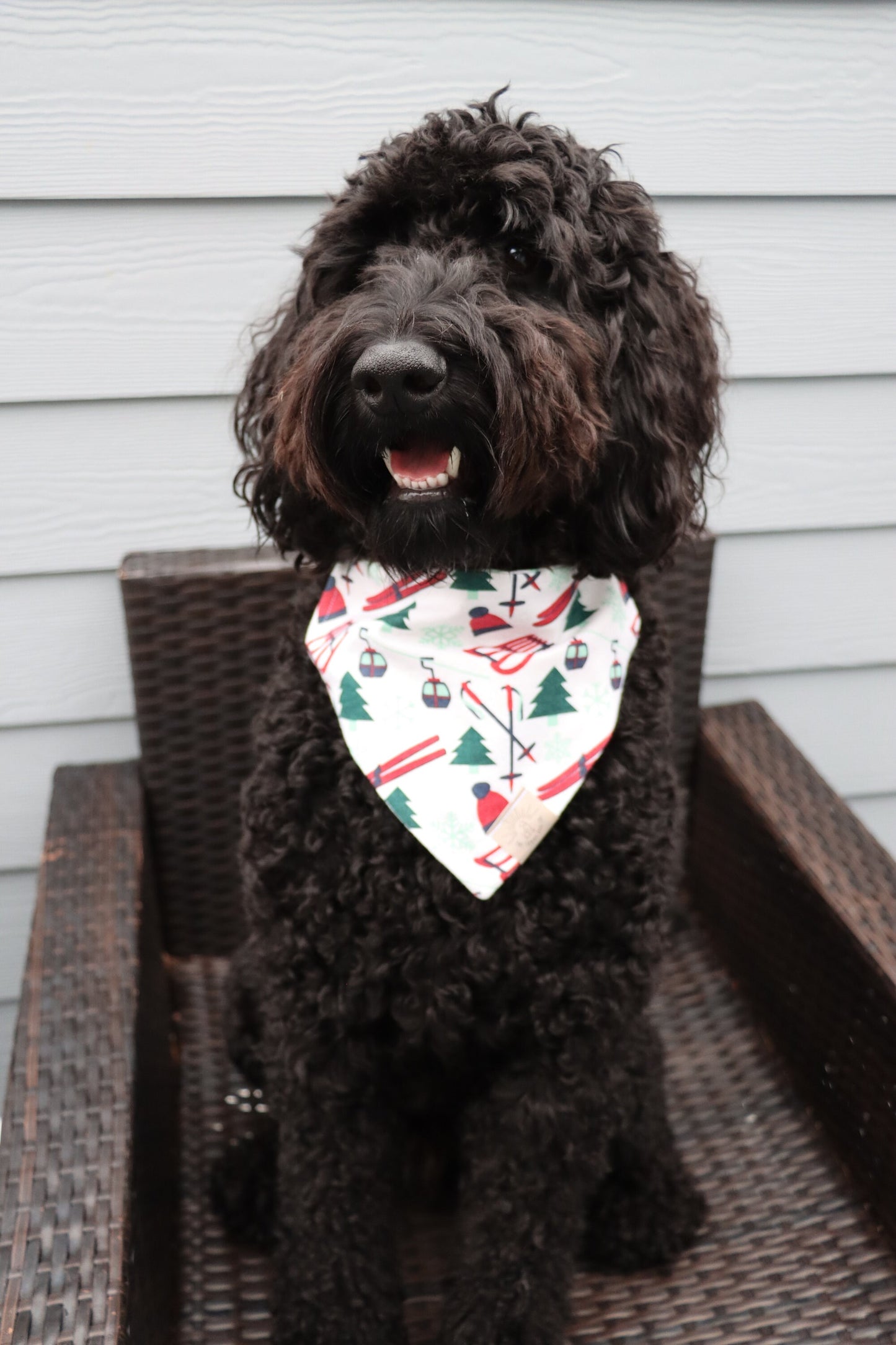 Over the Collar Dog Bandana-Tie on Bandana-Ski Slope-Personalized Dog Bandana-Customized Dog Bandana-Christmas Bandana-Holiday Bandana