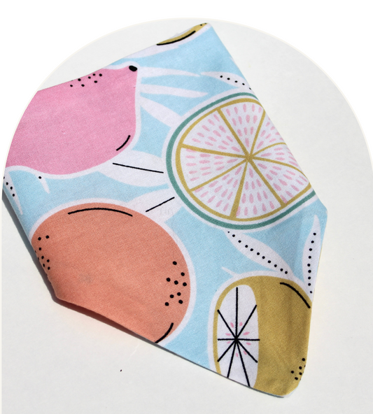 Fruity Dog Bandana