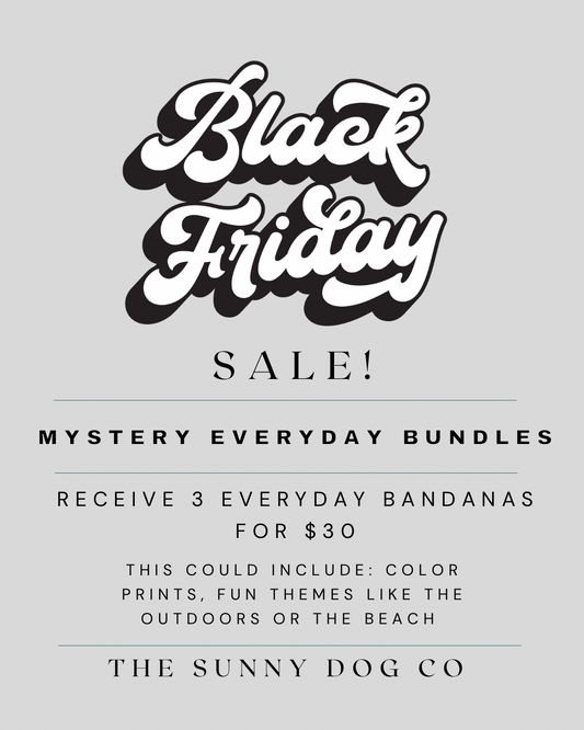 Mystery Everyday Bundle