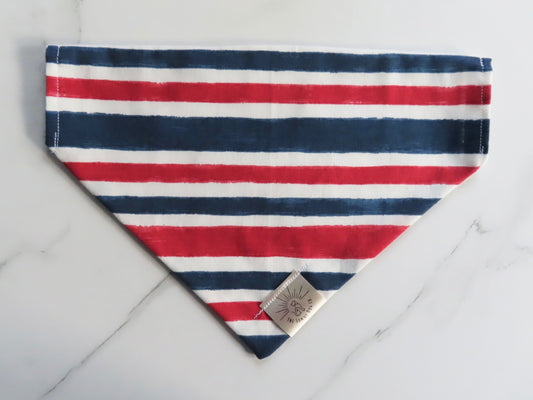 Navy & White Stripes