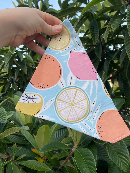 Over the Collar Dog Bandana-Fruity-Dog Mom Gift-Personalized Dog Bandana-Customized Dog Bandana-Dog Gift-Fruit Print Dog Bandana-Summer Dog