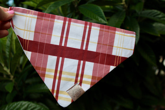 Over the Collar Dog Bandana-Florida State-FSU-Personalized Dog Bandana-Customized Dog Bandana-Seminoles Dog Bandana-Football Bandana