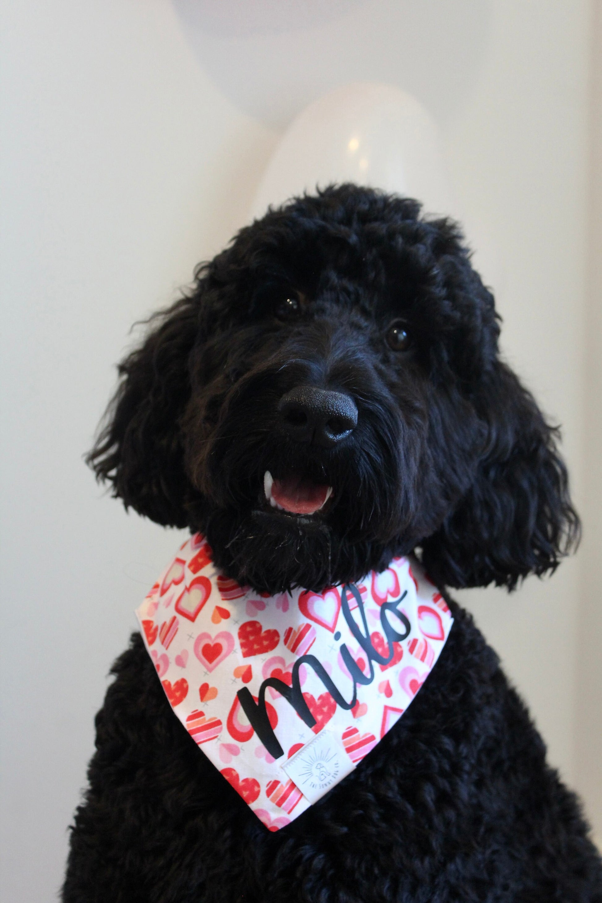 Over the Collar Dog Bandana -Queen of Hearts-Dog Mom Gift-Personalized Dog Bandana-Customized Dog Bandana-Dog Gift-Valentines Dog Bandana