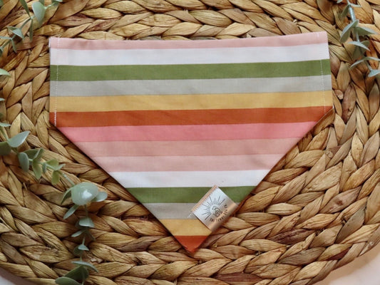 Over the Collar Dog Bandana-Spring Stripes- Mom Gift-Personalized Dog Bandana-Customized Dog Bandana-Spring Bandana-Dog Scarf-Bright Stripes
