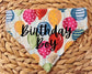 Over the Collar Dog Bandana-Birthday Bandana-Happy Birthday Balloons-Customized Dog Bandana-Dog Gift-Dog Birthday Gift-Birthday Bandana
