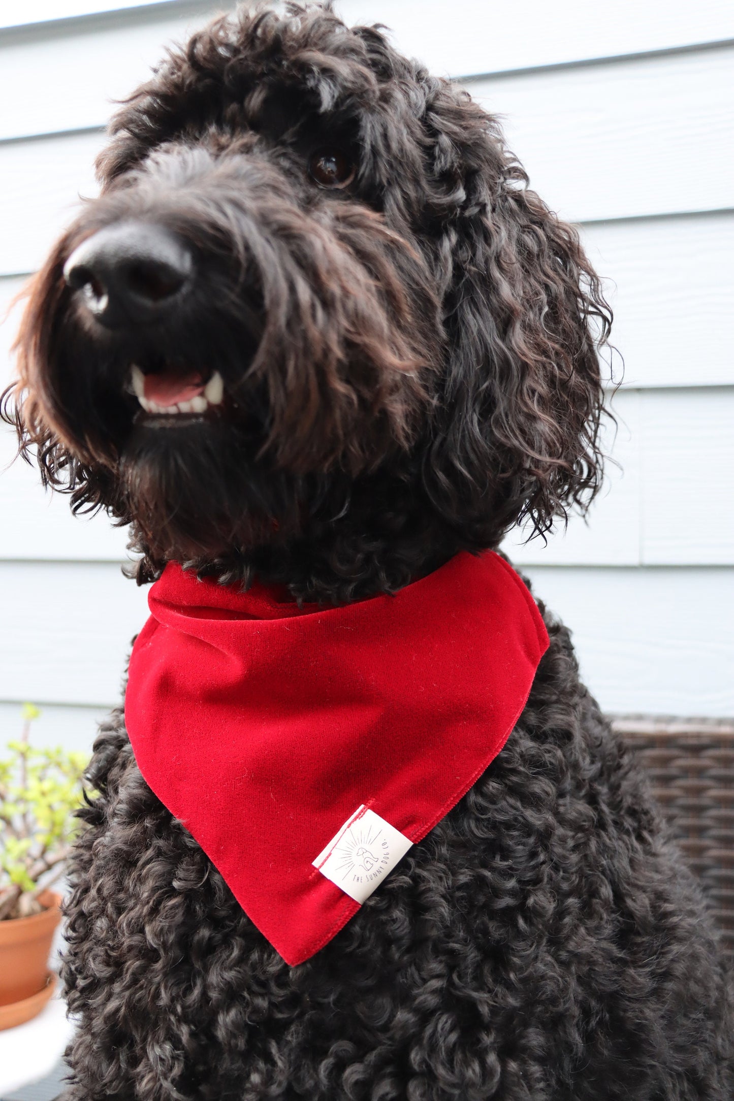 Over the Collar Dog Bandana-Tie on Bandana-Red Velvet-Personalized Dog Bandana-Customized Dog Bandana-Christmas Bandana-Holiday Bandana