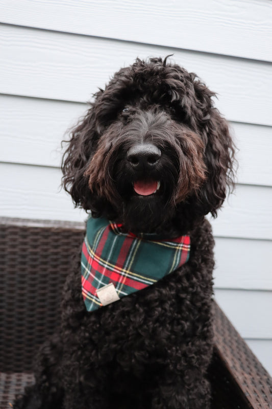 Over the Collar Dog Bandana-Tie on Bandana-Green Flannel-Personalized Dog Bandana-Customized Dog Bandana-Christmas Bandana-Holiday Bandana