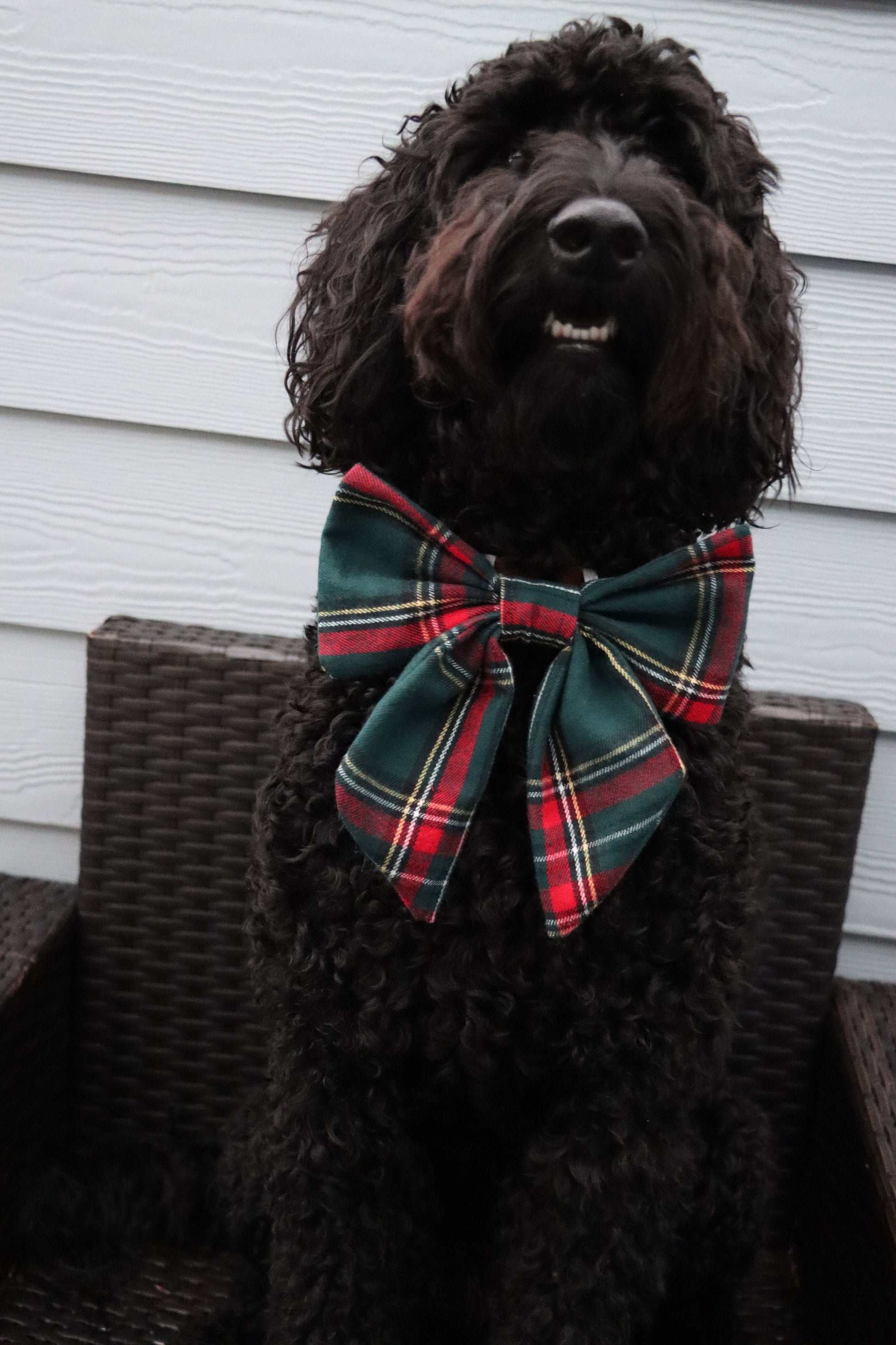 Over the Collar Dog Bow Tie-Green Flannel Bow-Standard Bow-Sailor Bow-Christmas Dog Bow Tie-Christmas Day Dog Style-Holiday Dog Gift