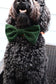 Over the Collar Dog Bow Tie-Green Velvet Bow-Standard Bow-Sailor Bow-Christmas Dog Bow Tie-Christmas Day Dog Style-Holiday Dog Gift