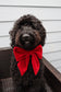 Over the Collar Dog Bow Tie-Red Velvet Bow-Standard Bow-Sailor Bow-Christmas Dog Bow Tie-Christmas Day Dog Style-Holiday Dog Gift