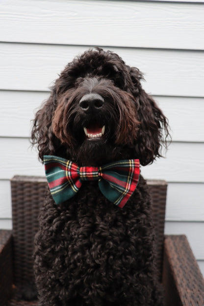 Over the Collar Dog Bow Tie-Green Flannel Bow-Standard Bow-Sailor Bow-Christmas Dog Bow Tie-Christmas Day Dog Style-Holiday Dog Gift