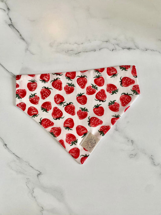 Over the Collar Dog Bandana-Strawberries-Fruity Dog Bandana-Bandana-Personalized Dog Bandana-Customized Dog Bandana-Spring Dog Bandana