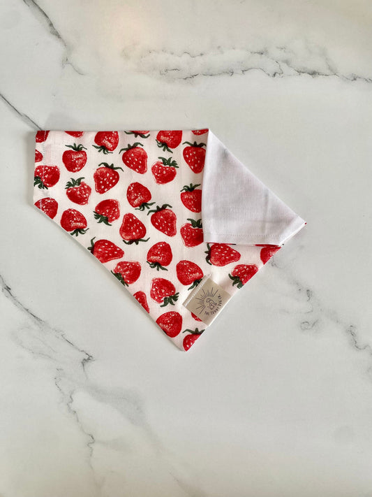 Over the Collar Dog Bandana-Strawberries-Fruity Dog Bandana-Bandana-Personalized Dog Bandana-Customized Dog Bandana-Spring Dog Bandana